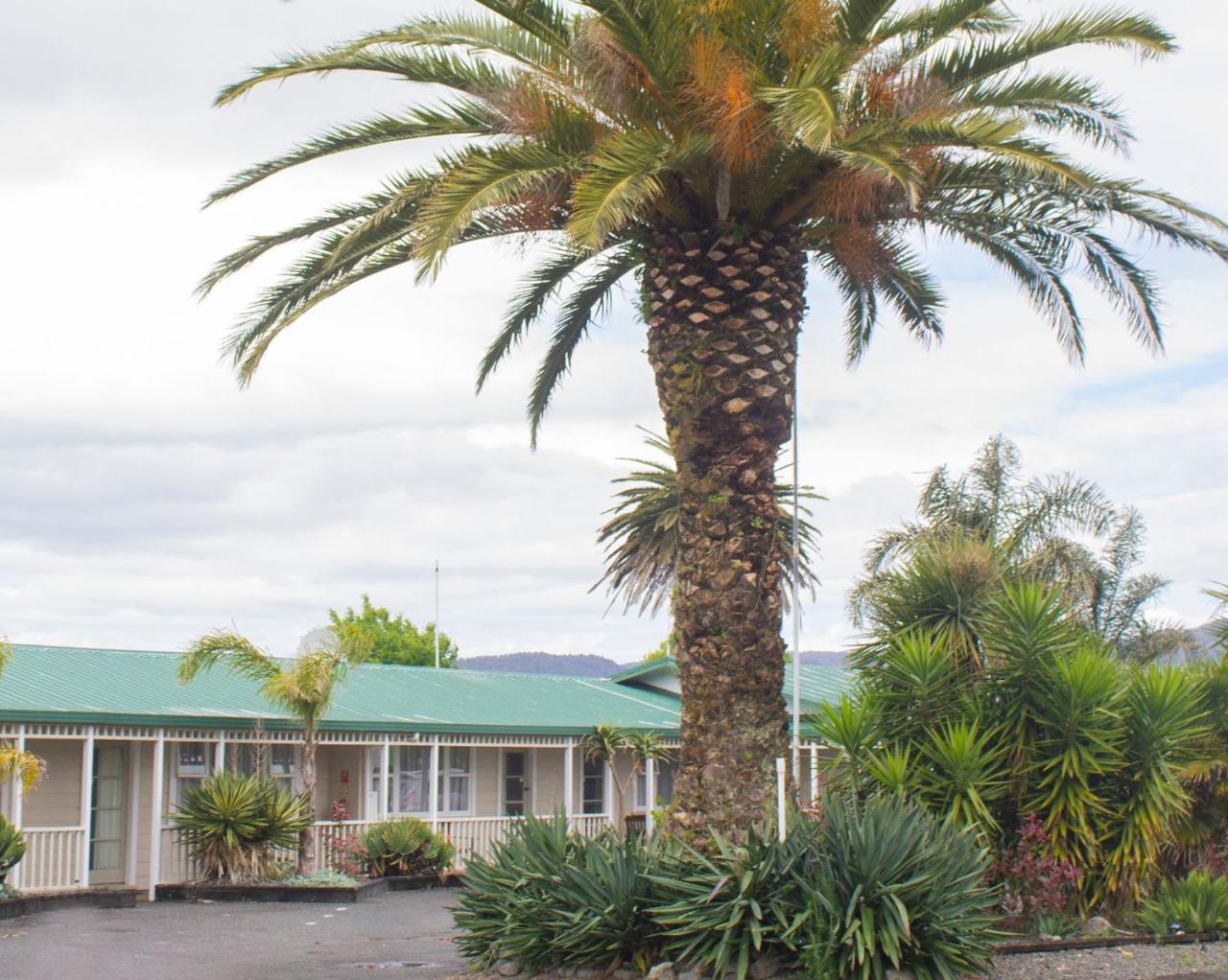 Palm Motel Waihi Exterior photo