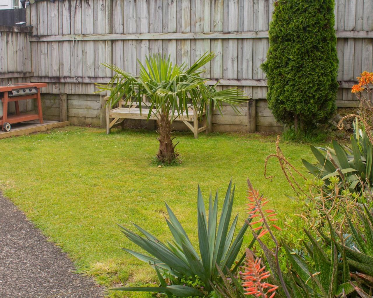 Palm Motel Waihi Exterior photo