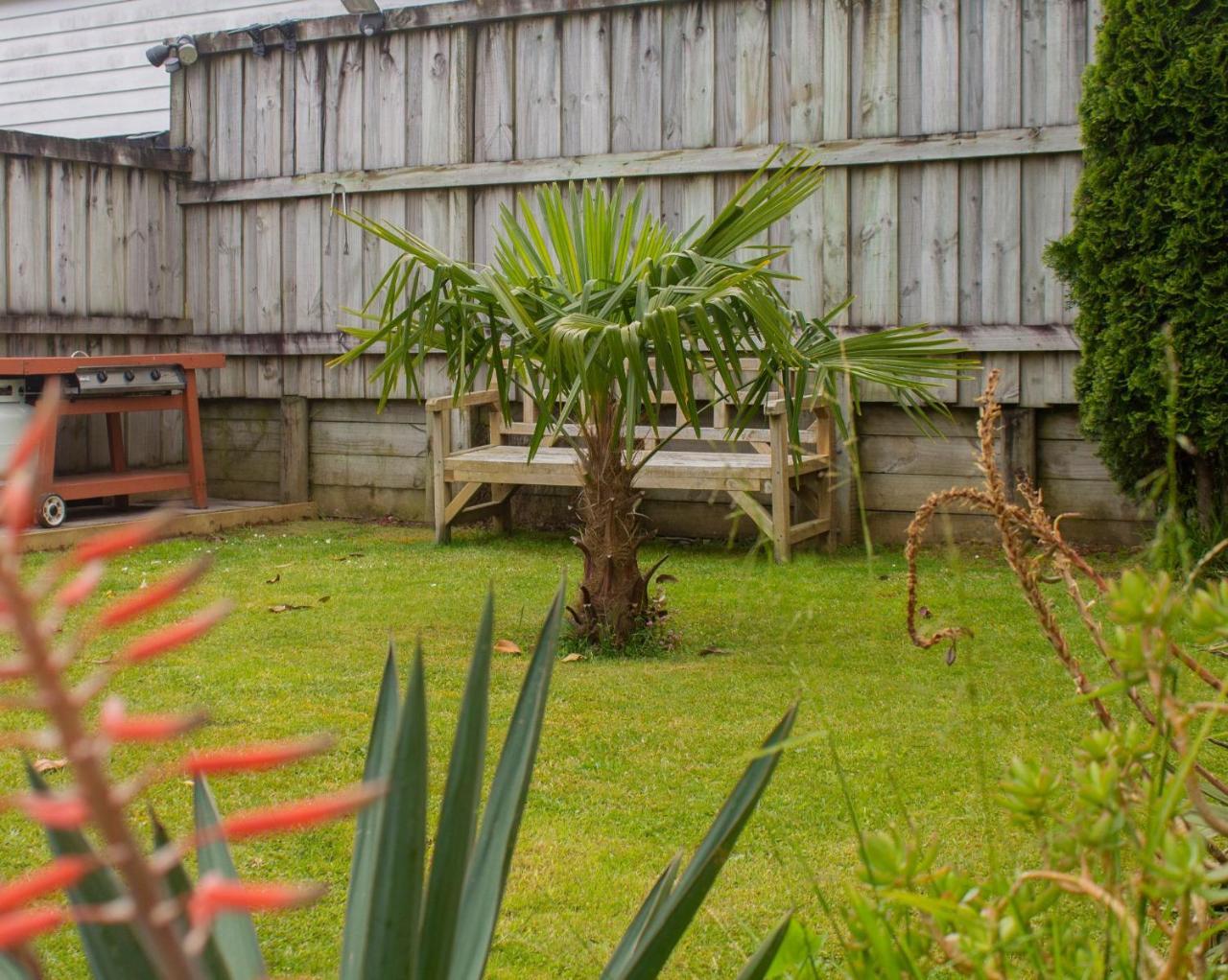 Palm Motel Waihi Exterior photo