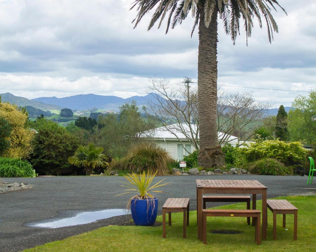 Palm Motel Waihi Exterior photo
